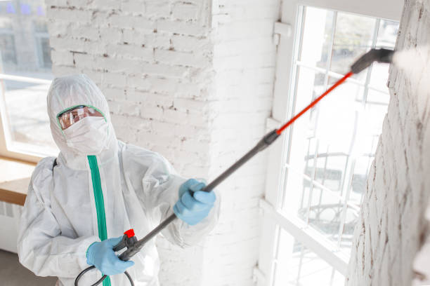 Best Commercial Mold Inspection  in Pasco, WA